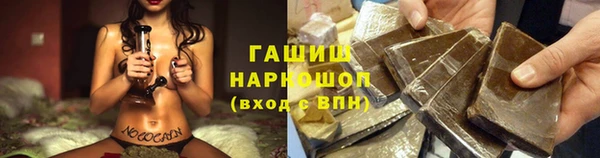 твердый Богданович