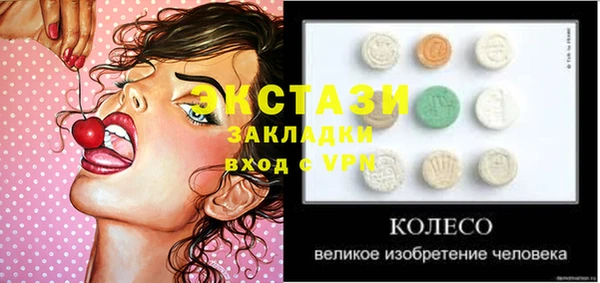 ECSTASY Богородицк